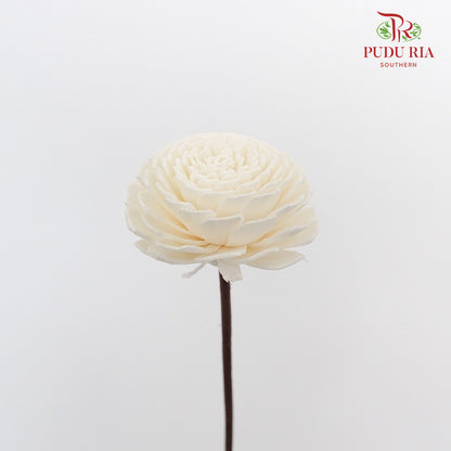 Dry Sola Wood Flower - White - Pudu Ria Florist Southern