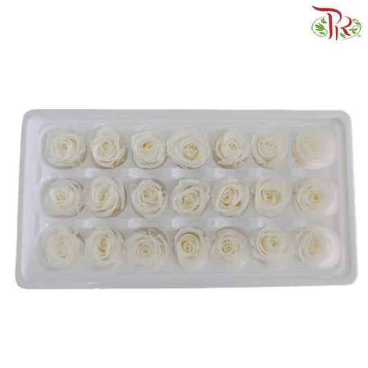 21 Bloom Preservative Rose - White - Pudu Ria Florist Southern