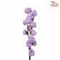 Cotton Flower Dyed Colour - Purple