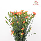 Carnation Spray Yellow/Orange (18-20 Stems) - Pudu Ria Florist Southern
