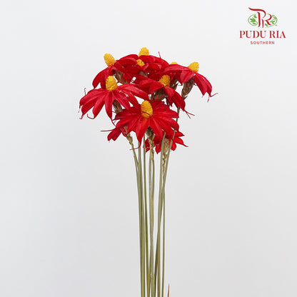 Dry Sapphire Dark Red - Pudu Ria Florist Southern