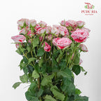 Rose Spray Impressionst (6 Stems) - Pudu Ria Florist Southern