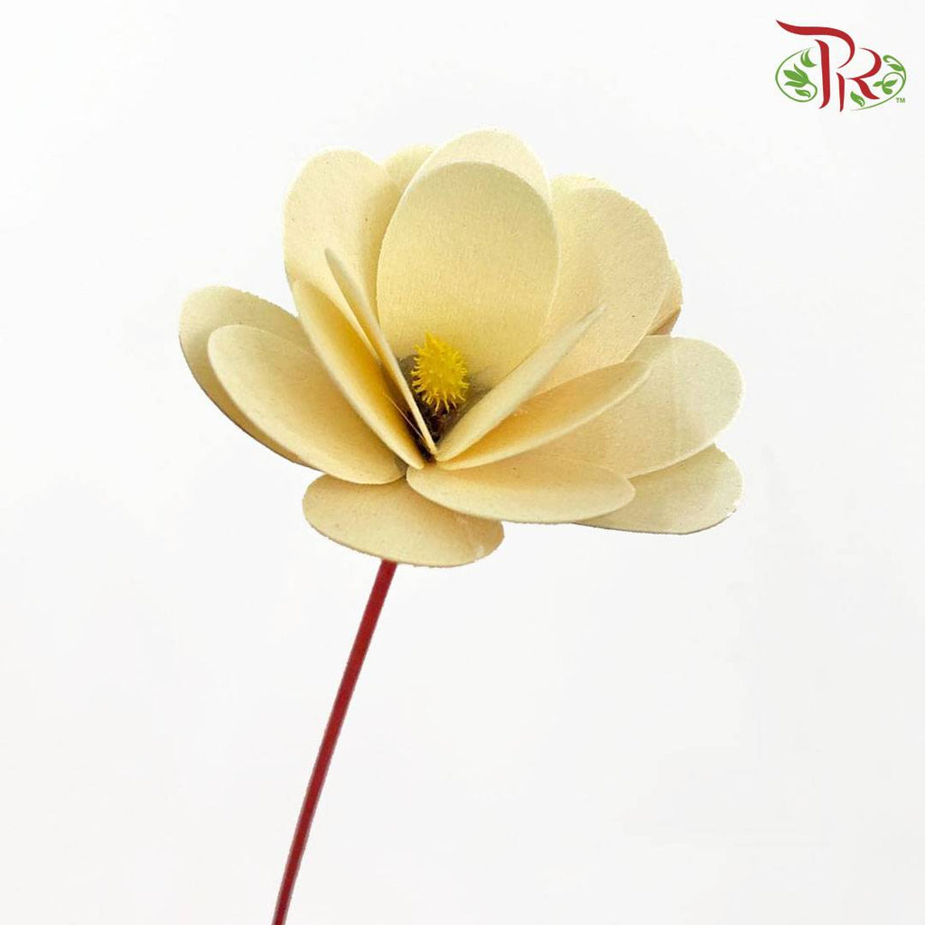 Dry Wood Rose - Yellow - Pudu Ria Florist Southern