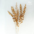 Gold Eucalyptus Leaf (2 stems) - Pudu Ria Florist Southern