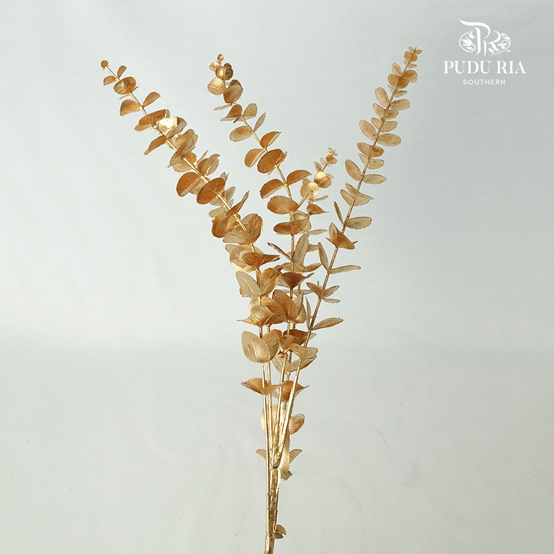 Gold Eucalyptus Leaf (2 stems) - Pudu Ria Florist Southern