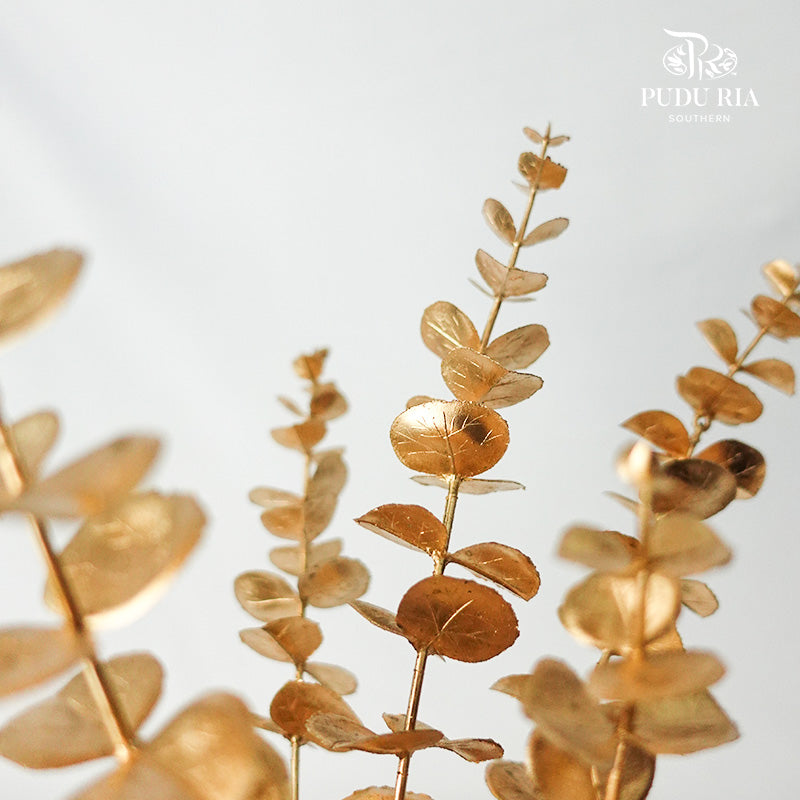 Gold Eucalyptus Leaf (2 stems) - Pudu Ria Florist Southern