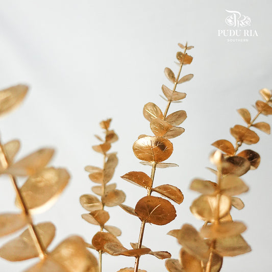 Gold Eucalyptus Leaf (2 stems) - Pudu Ria Florist Southern