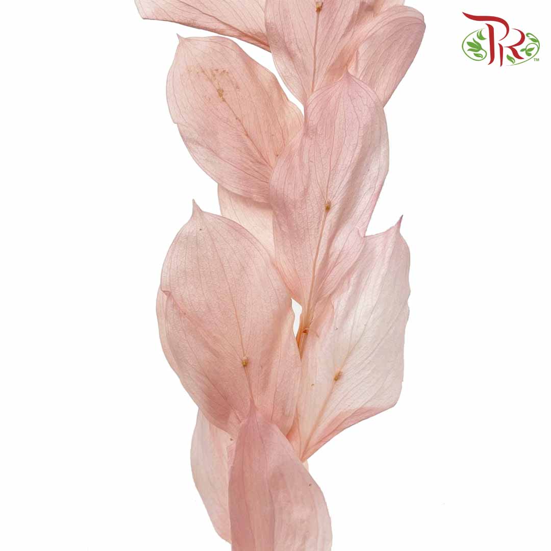 Dry Orange Leaf - Pink - Pudu Ria Florist Southern
