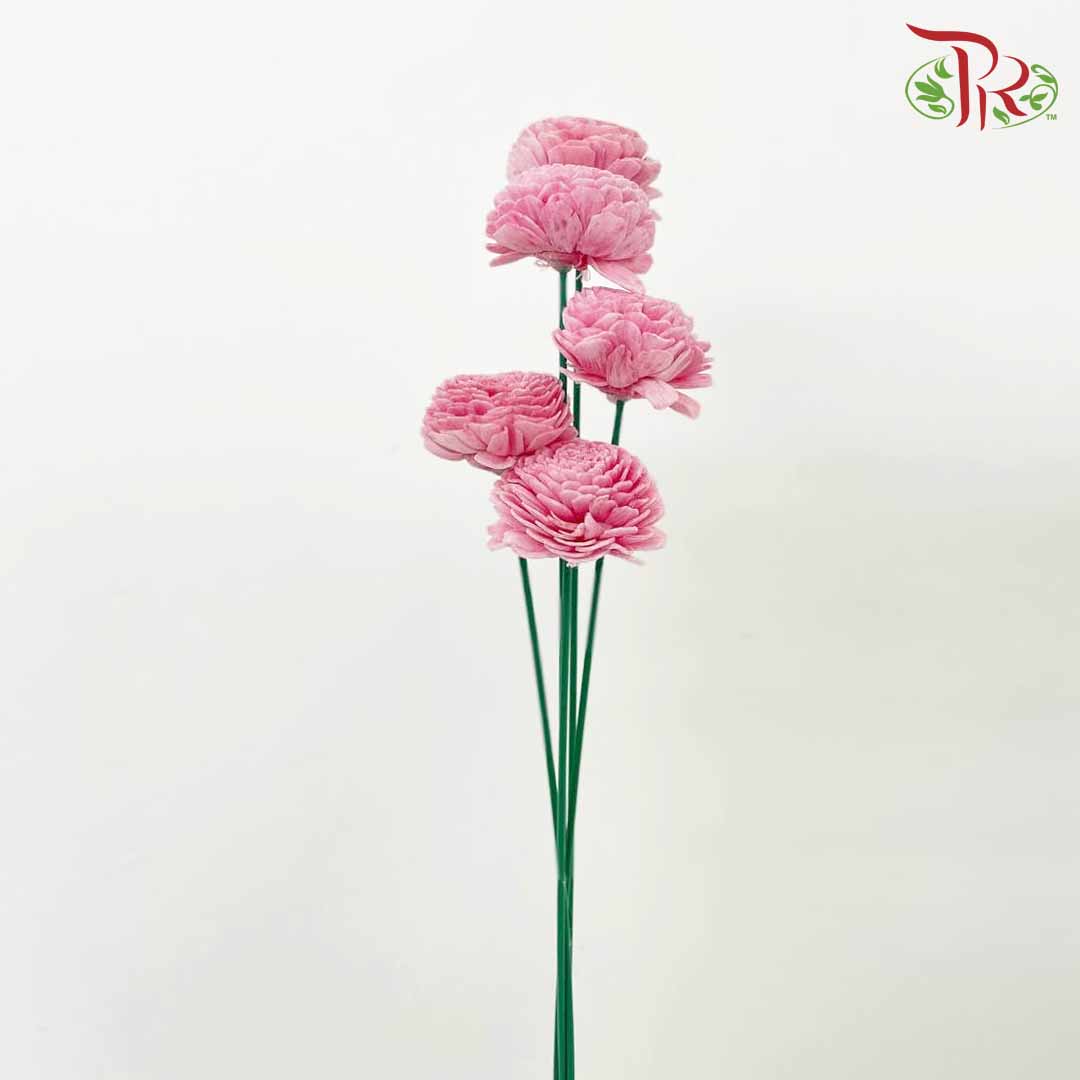 Dry Aeschynomene Aspera - Pink - Pudu Ria Florist Southern
