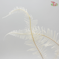Preservative Mountain Fern (XL) - Pudu Ria Florist Southern