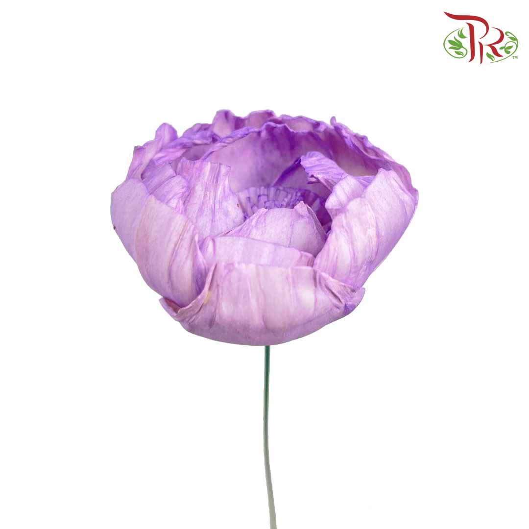 Dry Sola Rose Big - Purple - Pudu Ria Florist Southern