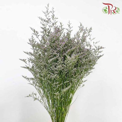 Caspia Purple - Pudu Ria Florist Southern