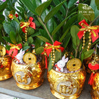 Lucky Plant Rabbit 幸运兔 / Per Pot - Pudu Ria Florist Southern