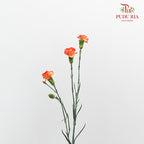 Carnation Spray Yellow/Orange (18-20 Stems) - Pudu Ria Florist Southern