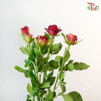 Rose Spray Pretty (8-10 Stems) - Pudu Ria Florist Southern