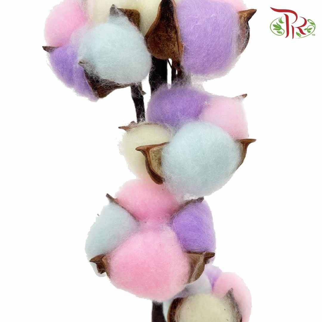 Cotton Flower Dyed Colour - Rainbow - Pudu Ria Florist Southern