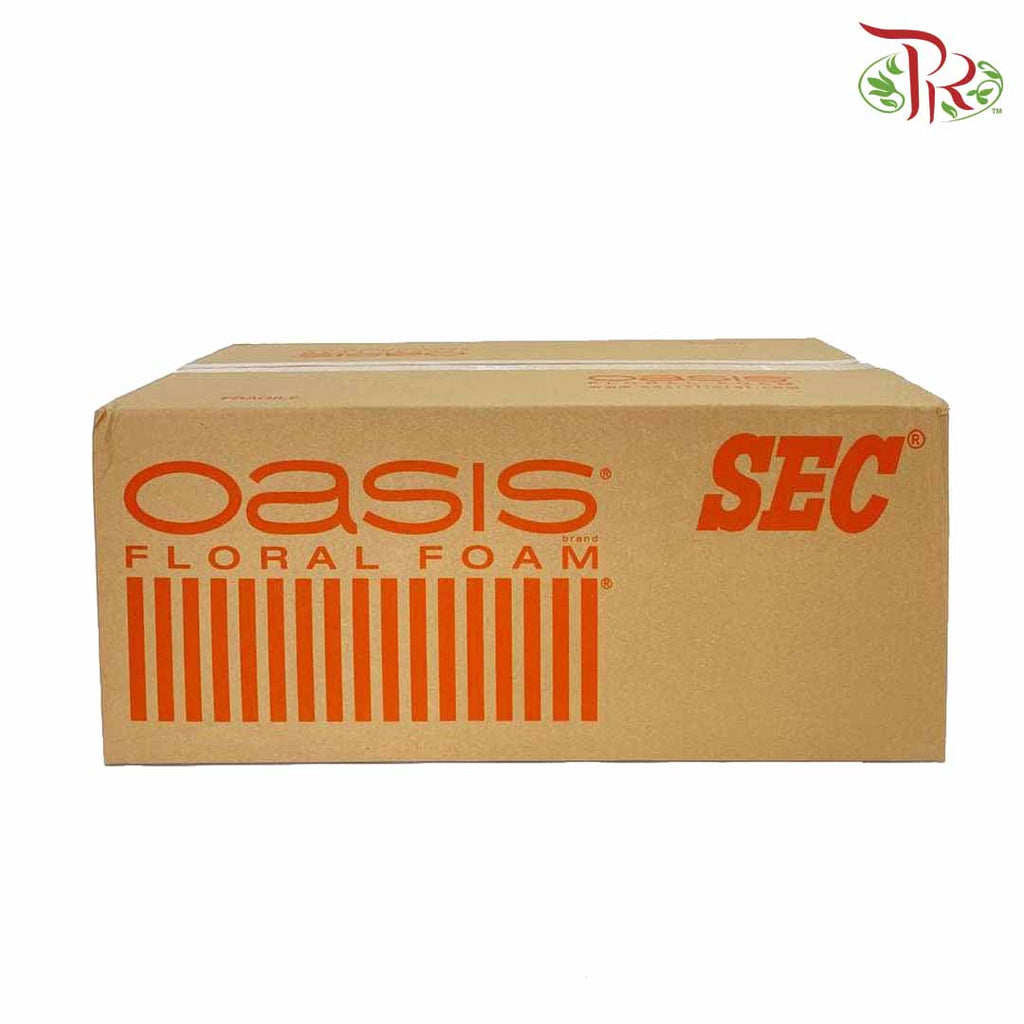 Oasis Sec Floral Foam - per box - Pudu Ria Florist Southern