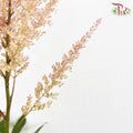 Astilbe Pink (4-5 Stems) - Pudu Ria Florist Southern