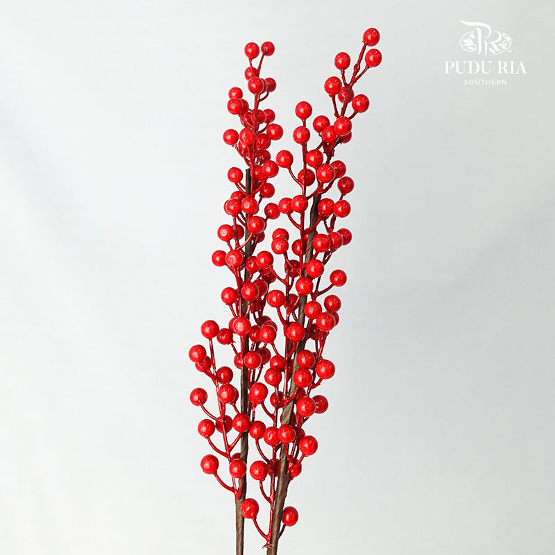 CNY Berry (2 stems) - Pudu Ria Florist Southern