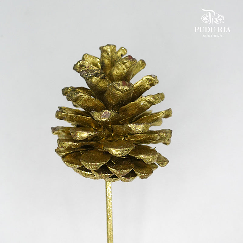 Xmas Pine Cone (Gold) - per stems