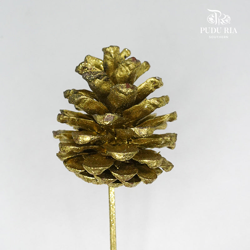 Xmas Pine Cone (Gold) - per stems - Pudu Ria Florist Southern