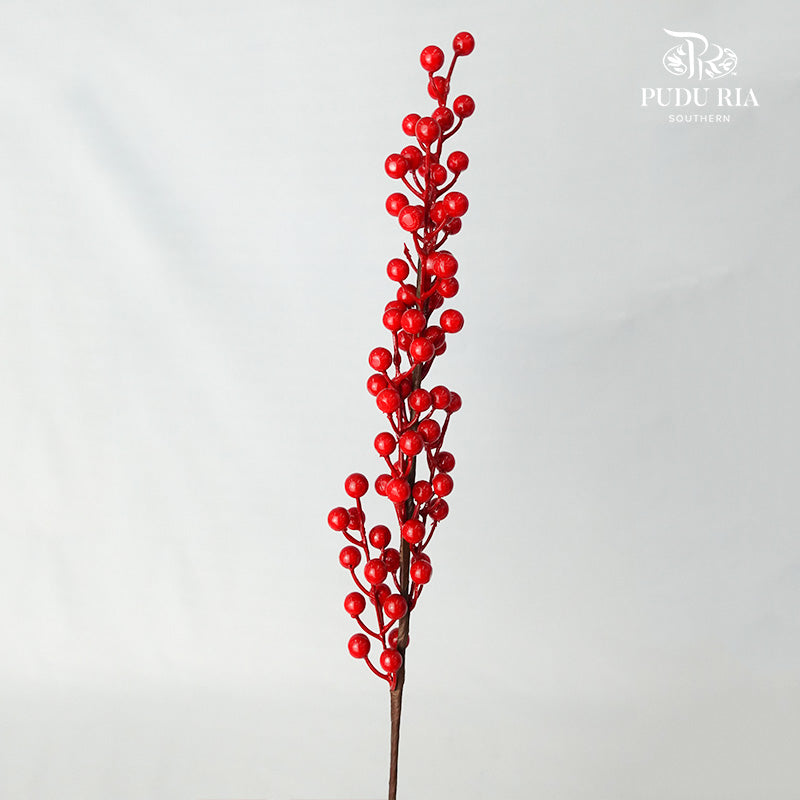 CNY Berry (2 stems) - Pudu Ria Florist Southern