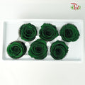 6 Bloom Preservative Rose - Green - Pudu Ria Florist Southern