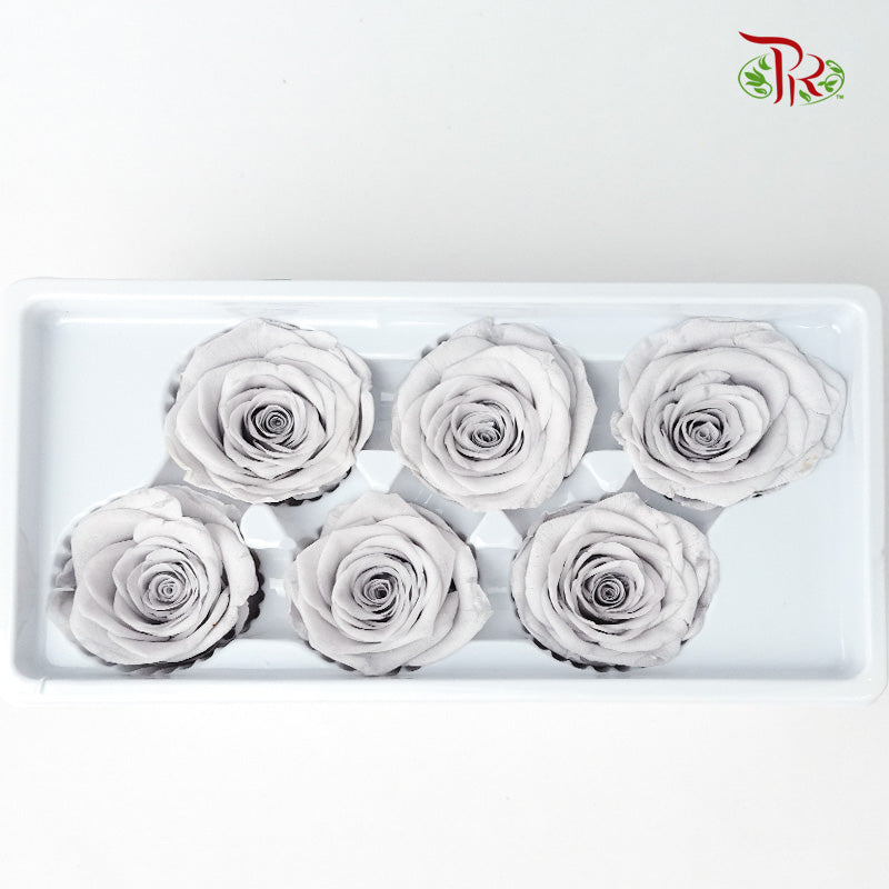 6 Bloom Preservative Rose - Grey - Pudu Ria Florist Southern