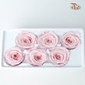 6 Bloom Preservative Rose - Soft Pink - Pudu Ria Florist Southern