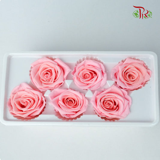 6 Bloom Preservative Rose - Peach - Pudu Ria Florist Southern