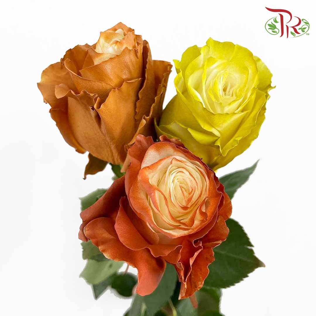 Rose Fall Mix (8-10 Stems) - Pudu Ria Florist Southern