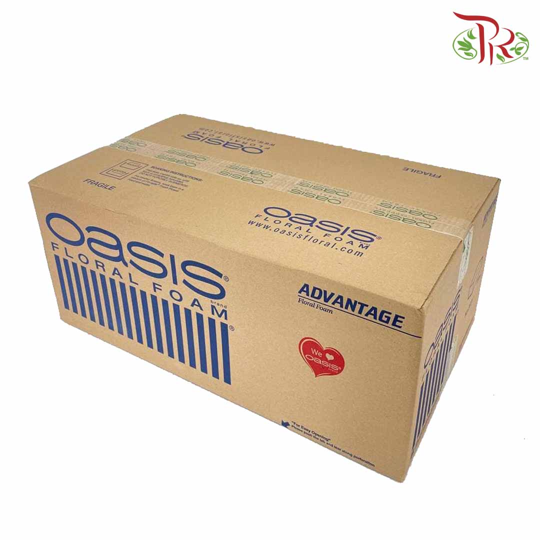 Oasis Advantage Floral Foam - Per Box - Pudu Ria Florist Southern
