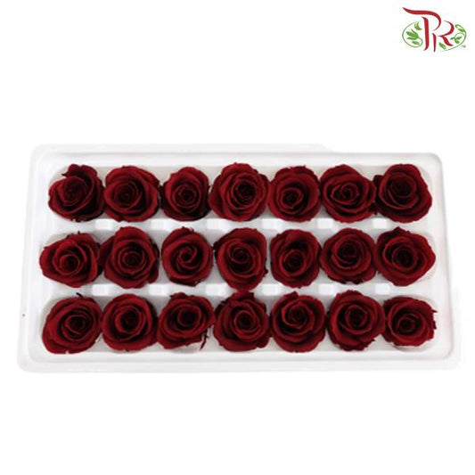 21 Bloom Preservative Rose - Maroon - Pudu Ria Florist Southern