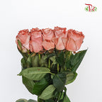 Rose Pink Cloccolate  (8-10 Stems) - Pudu Ria Florist Southern
