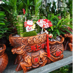 Jungle Cat 丛林猫 / Per Pot - Pudu Ria Florist Southern