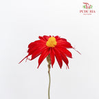 Dry Sapphire Dark Red - Pudu Ria Florist Southern