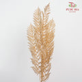 Gold Eucalyptus Leaf (2 stems) - Pudu Ria Florist Southern