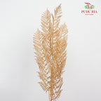 Gold Eucalyptus Leaf (2 stems) - Pudu Ria Florist Southern