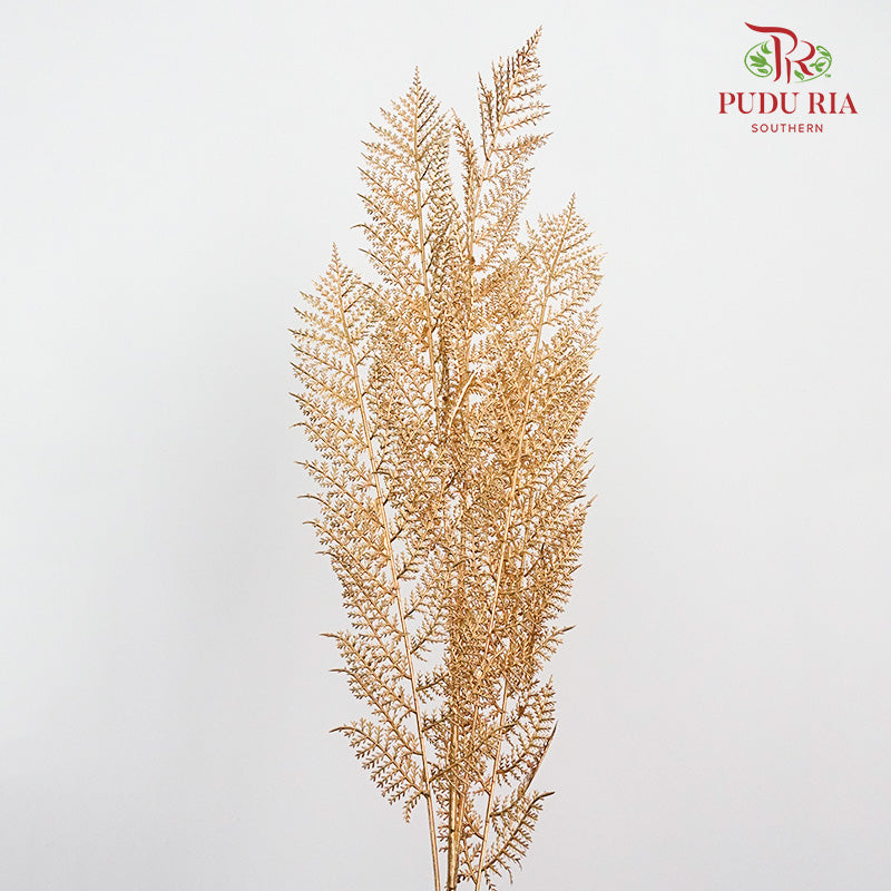 Gold Eucalyptus Leaf (2 stems) - Pudu Ria Florist Southern