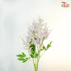 Astilbe Light purple (4-5 Stems) - Pudu Ria Florist Southern