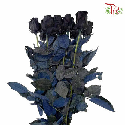 Rose Mondial Dyed Black (8-10 Stems) - Pudu Ria Florist Southern