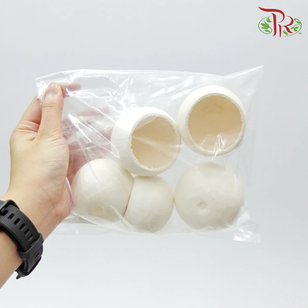Preservative Bell Cup (5 Pieces) - Pudu Ria Florist Southern