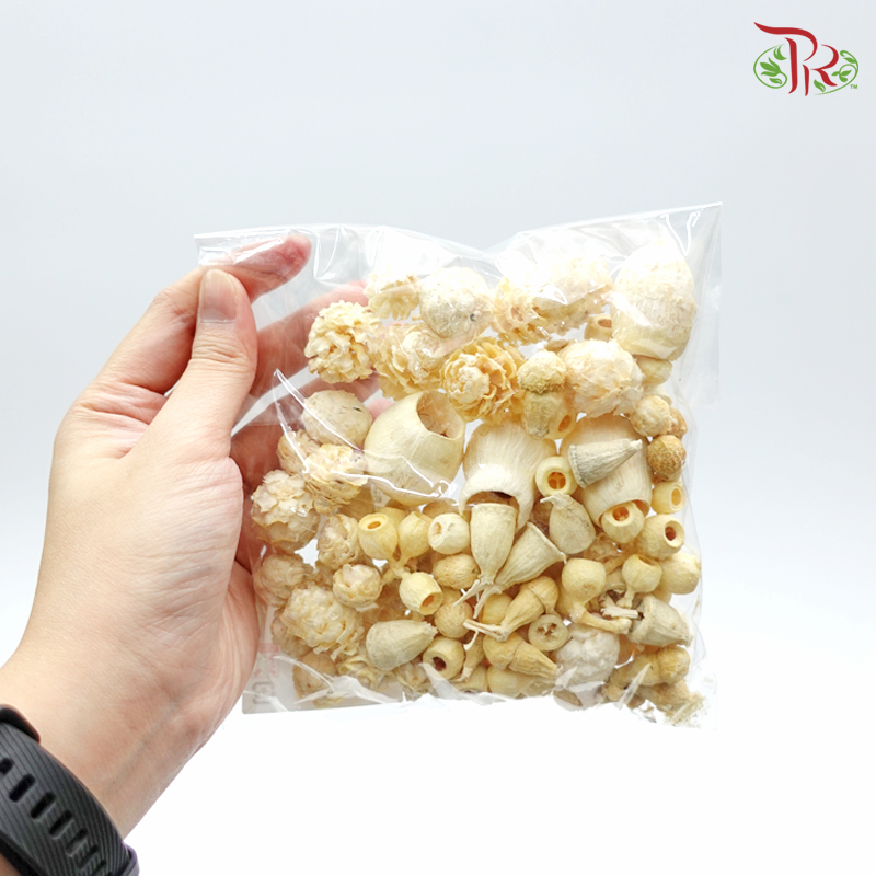 Preservative Nuts Mixed Small - Pudu Ria Florist Southern