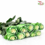 Rose Tinkerbell (8-10 Stems) - Pudu Ria Florist Southern