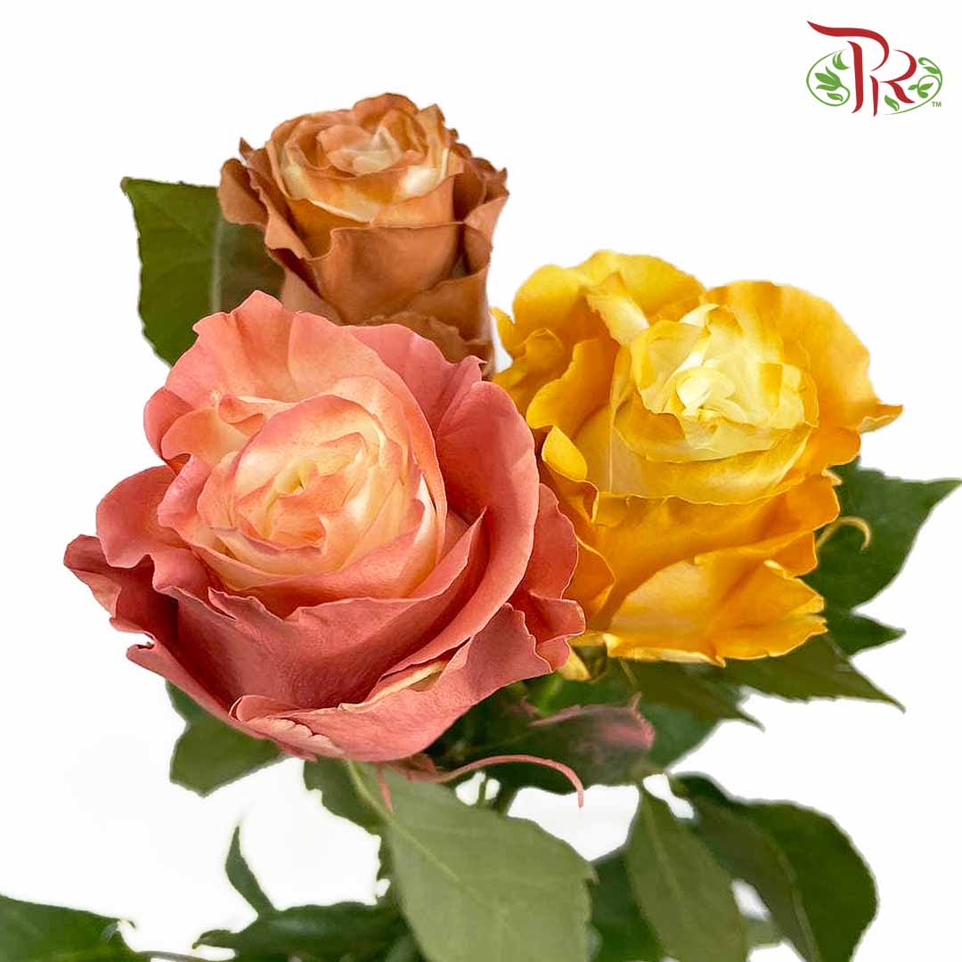 Rose Fall Mix2 (8-10 Stems) - Pudu Ria Florist Southern