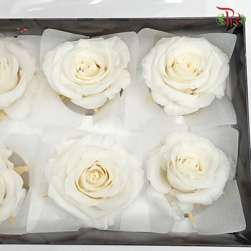 Preservative Full Bloom Rose (6 Blooms) - White - Pudu Ria Florist Southern