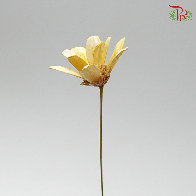 Preservative Petite Flower - Orange - Pudu Ria Florist Southern
