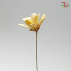 Preservative Petite Flower - Orange - Pudu Ria Florist Southern