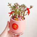 CNY Pot Plant Arrangement 金玉满堂 - Pudu Ria Florist Southern
