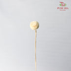 Dry Button Chrysanthemum - Offer Item - Pudu Ria Florist Southern